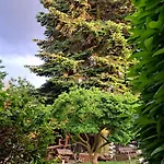 Bungalow an der Tanne mit überdachter Terrasse